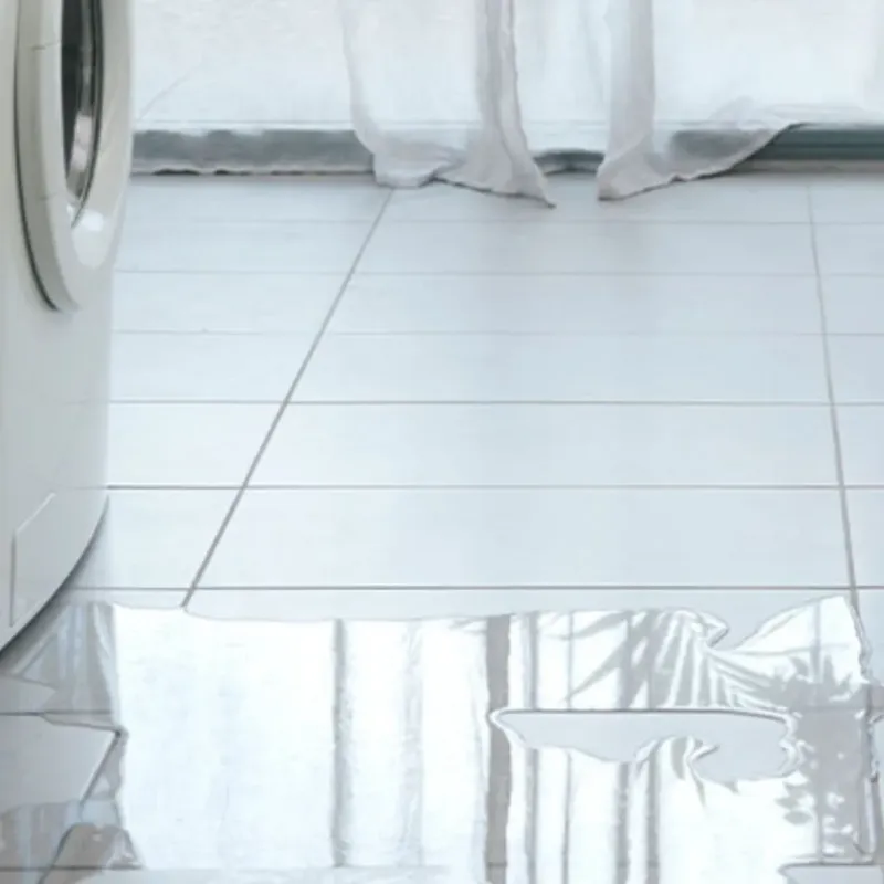 Appliance Leak Cleanup in Perry County, IL