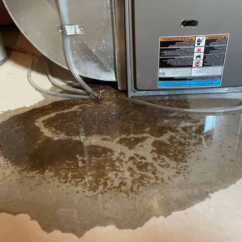 Pipe Burst and Leak Restoration in Perry County, IL