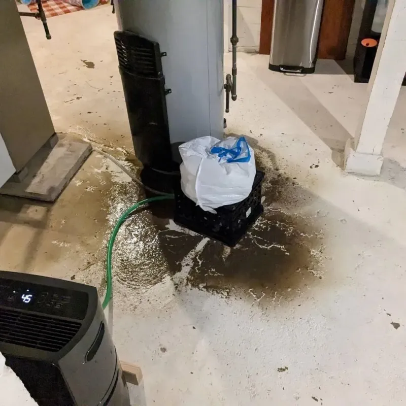 Sewage Backup Cleanup Service in Perry County, IL
